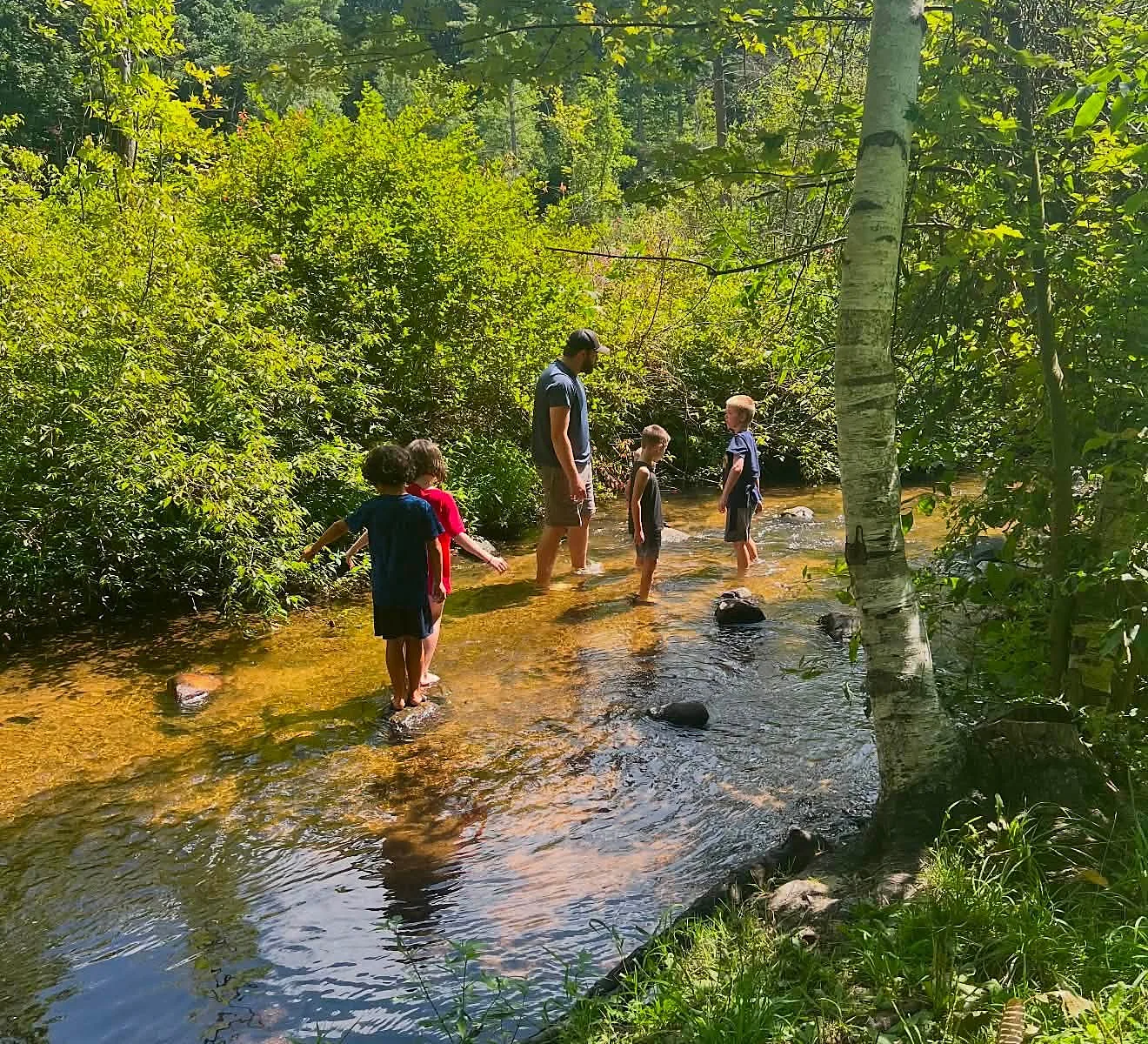 Campers exploring a creek on a Super T Karate summer outing near Grand Rapids